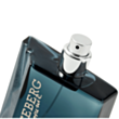 Kişi parfümü Iceberg Classic EDT 100 ml 40297056