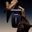 Kişi parfümü Tommy Hilfiger Impact EDP 100 ml 7640496672119