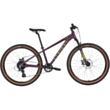 Velosiped Stalker Target 26.2