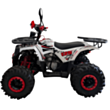 Квадроцикл Upbeat ATV 125-5 Mustang Red