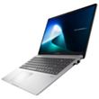 Notbuk Asus ExpertBook P1 P1503CVA-S72068 (90NX0881-M02W80)