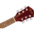 Akustik gitara Fender FA-125 NAT