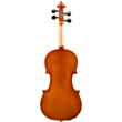 Скрипка Aileen AVL18
