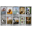 Фотобумага Fujifilm Instax Mini Store Gray WW 10 Sheet