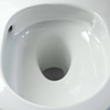Унитаз Deante Peonia CDJD6ZPW