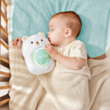 Musiqili oyuncaq Hape Huggy Bobo E0115