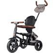 Детский велосипед QPlay S380-17 Rito Deluxe 5061047480281