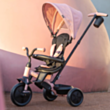 Uşaq velosipedi QPlay T10-Z Elite Platinum 5061047481943