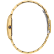 Saat Daniel Klein DK113936-3