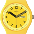 Saat Swatch SO29J702