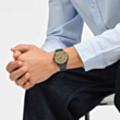 Часы Swatch Skin SS07B109G