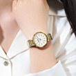 Saat CURREN 9109-3