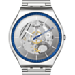 Часы Swatch Skin SS07S116GG