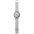 Часы Swatch Skin SS07S116GG