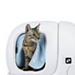 Pərdə Petkit P9902C