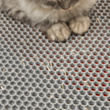 Ayaqaltı PETKIT 