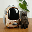 Smart daşıma çantası Petkit Breezy 2 P7704 Camo