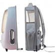 Smart daşıma çantası Petkit Breezy 2 P7704 Pink