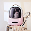 Smart daşıma çantası Petkit Breezy 2 P7704 Pink