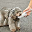 Переносная поилкa Petkit S400 P4230 Grey