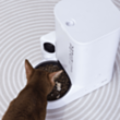 Smart yem qabı Petkit Yumshare Solo P571