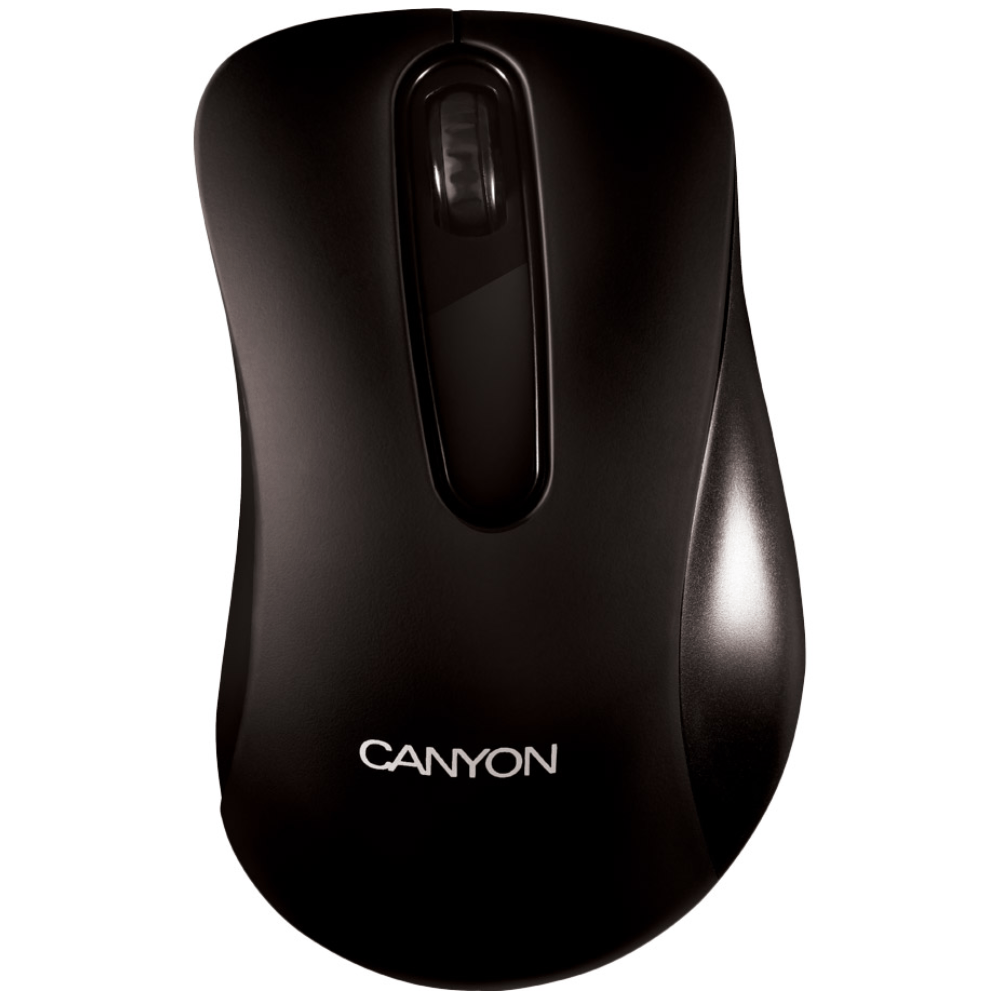 Беспроводная мышь canyon. Мышь Canyon (CNS-cmsw09v). Мышь Canyon CNE-cms2 Black USB. Мышь Canyon CNE-cms2, Black. Мышь Canyon MW-9.