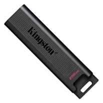 Kingston 256 GB Flash USB Data Traveler USB 3.2 Gen2 DTMAX