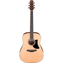 Акустическая гитара Ibanez AAD50-LG 