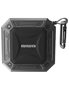 Speaker Aiwa Sb-X80 Черный