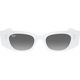 Солнцезащитные очки Ray-Ban RB4427 675911