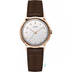 Saat Timex TW2Y37700