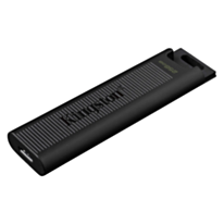 Kingston Flash USB 256 GB Data Travel Max USB 3.2 Gen 2 DTMAXA Black