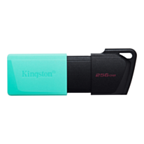 Kingston 256 GB Flash USB Data Travel USB 3.2 Gen1 DTXM