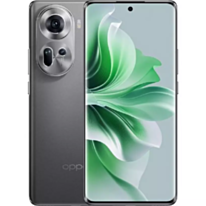 OPPO RENO 11 12/256 GB Grey