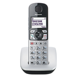 Panasonic  KX-TGE510RUS