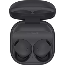 Наушники Samsung Buds 2 Pro Gray/SM-R510NZAACIS