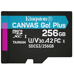 Kingston Canvas go plus 256GB / SDCG3/256GB-N