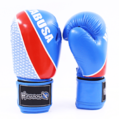 Hayabusa Boks əlcəyi 530902