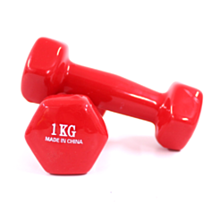 Dumbbell dəsti 530886