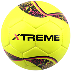 Xtreme Professional futbol topu Pro Sala 530928