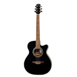 Akustik gitara Flight  F-230C BK 