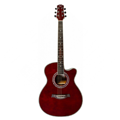 Akustik gitara Flight  F-230C WR