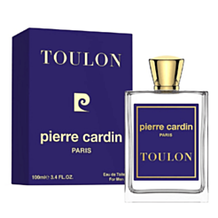 Kişi parfümü Pierre Cardin Toulen EDP 100 ml 8682367191434