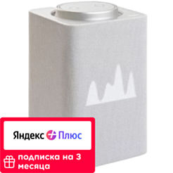 Yandex Station Max Grey + Remote / YNDX-0008GR