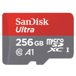 SD SanDisk 256GB 120MB CL10