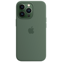 Qoruyucu örtük iPhone 13 Pro Silicone With MagSafe – Eucalyptus / MN673ZM/A	