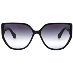 Солнцезащитные очки Ana Hickmann AH9431 A01