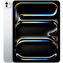 İpad Pro 13-inch WI-FI + Cellular 256GB SG - Silver