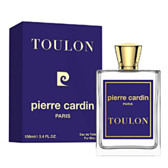 Kişi parfümu Pierre Cardin Toulen EDP 100 ml 8682367191434