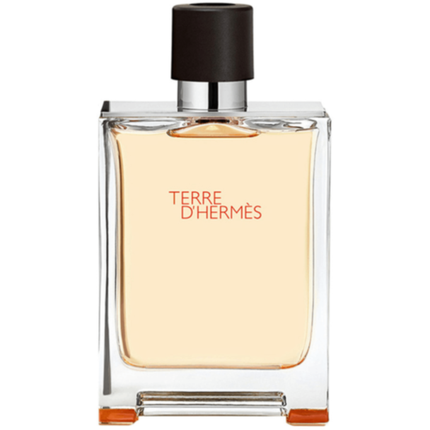 Мужской парфюм Hermes Terre D'Hermes EDT 200 мл 3346130013457